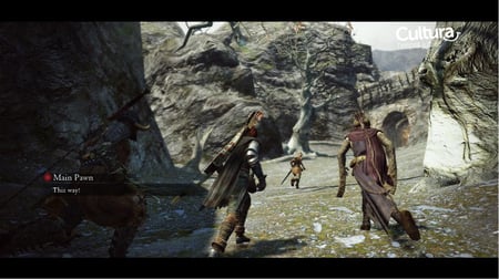 media/pim/dragon-s-dogma-5055060927496_5.jpg