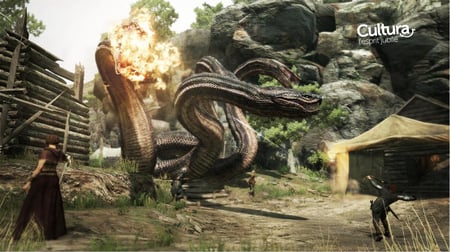 media/pim/dragon-s-dogma-5055060927496_6.jpg