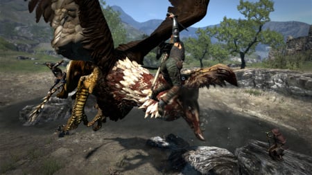 media/pim/dragon-s-dogma-5055060963104_11.jpg