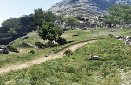 media/pim/dragon-s-dogma-5055060963104_2.jpg