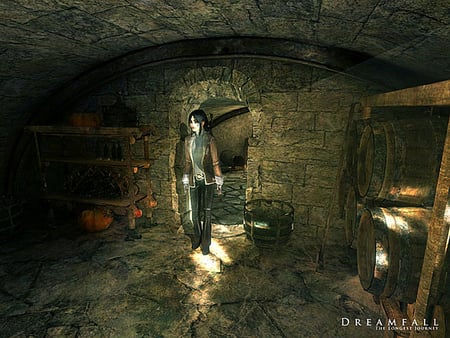 media/pim/dreamfall-the-longest-journey-pc-c-9782742938292_4.jpg