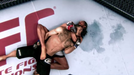 media/pim/ea-sports-ufc-5030939115310_11.jpg