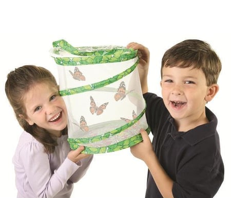 media/pim/elevage-de-papillons-0735569010107_12.jpg