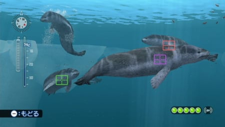 media/pim/endless-ocean-2-aventuriers-des-fonds-marins-0045496368388_10.jpg