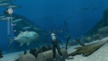media/pim/endless-ocean-2-aventuriers-des-fonds-marins-0045496368388_11.jpg