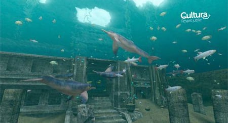 media/pim/endless-ocean-2-aventuriers-des-fonds-marins-0045496368388_6.jpg