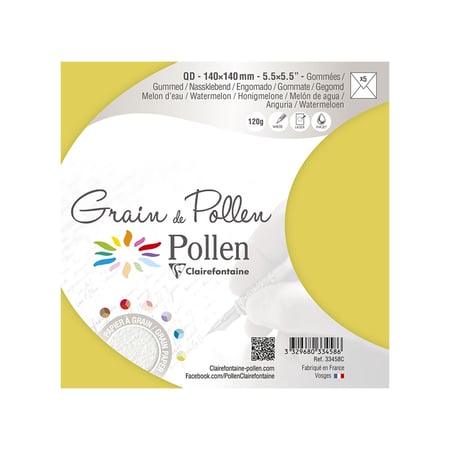 media/pim/env-140x140-melon-eau-x5-grain-3329680334586_2.jpg