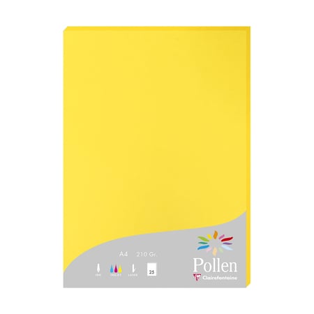 media/pim/etui-25f-210x297-jaune-soleil-210g-etui-25f-210x297-jaune-soleil-210g-3329680242171_0.jpg