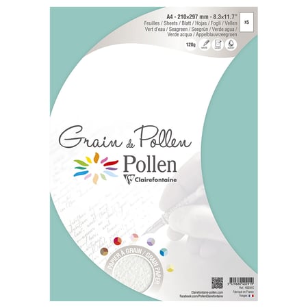 media/pim/etui-5f-a4-120g-vert-x5-grain-vert-d-eau-3329680402919_2.jpg