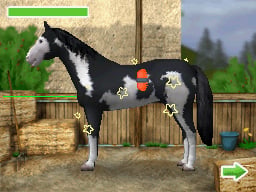 media/pim/eugenie-angot-championne-d-equitation-ds-3760126461136_4.jpg