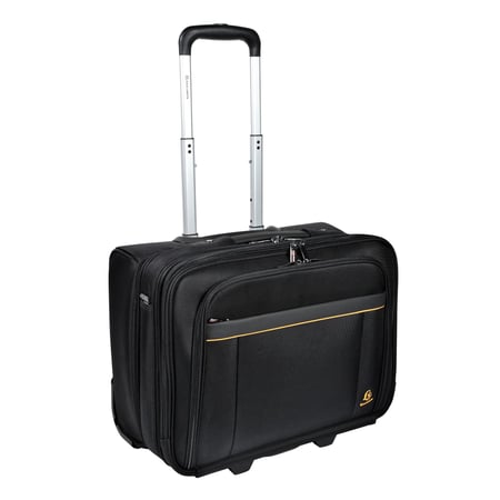 media/pim/exatrolley-valisette-business-exactiveexatrolley-valisette-business-exactive-3130630185345_3.jpg