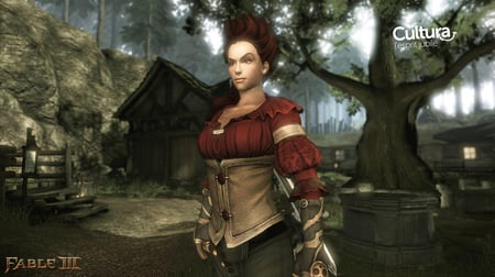 media/pim/fable-iii-edition-collector-0885370197365_6.jpg