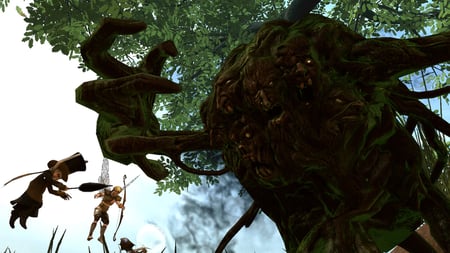 media/pim/faery-legends-of-avalon-3512289018371_9.jpg