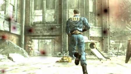 media/pim/fallout-3-pc-0093155125636_11.jpg