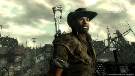 media/pim/fallout-3-ps3-0093155130609_4.jpg