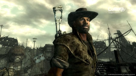 media/pim/fallout-3-x360-0093155125513_4.jpg