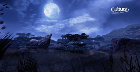 media/pim/far-cry-2-pc-3307210410696_8.jpg