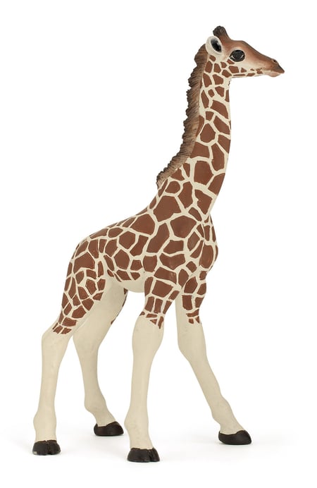 media/pim/figurine-bebe-girafe-figurine-bebe-girafe-3465000500078_0.jpg