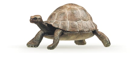 media/pim/figurine-tortue-geante-figurine-tortue-geante-3465000500139_0.jpg