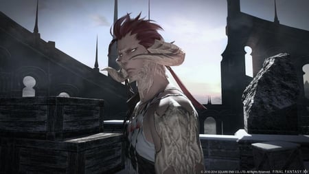 media/pim/final-fantasy-xiv-heavensward-5021290067943_5.jpg