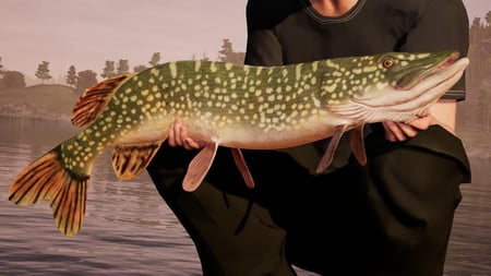 media/pim/fishing-sim-world-5016488131940_7.jpg