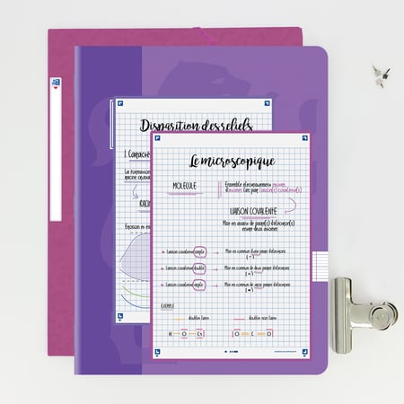media/pim/flashcard-148x210-sf50-q5-lila-3020120154183_7.jpg