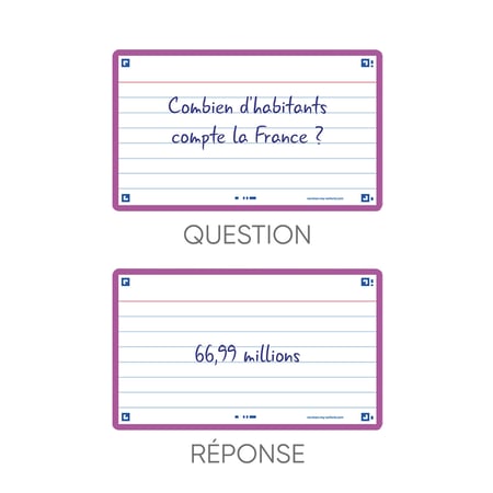 media/pim/flashcard-75x125-sf80-l7-lilas-3020120152295_6.jpg