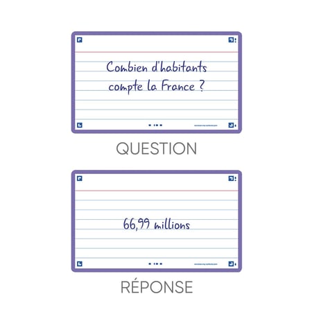 media/pim/flashcard-75x125-sf80-l7-viole-3020120152264_6.jpg