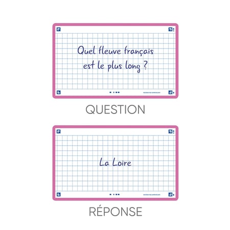 media/pim/flashcard-75x125-sf80-q5-fuchs-3020120152028_6.jpg