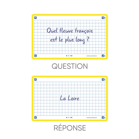 media/pim/flashcard-75x125-sf80-q5-jaune-3020120152080_6.jpg