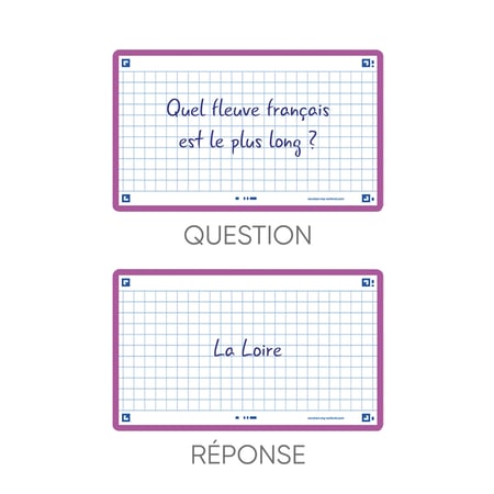 media/pim/flashcard-75x125-sf80-q5-lilas-3020120151892_6.jpg