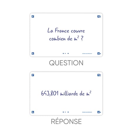 media/pim/flashcard-75x125-sf80-uni-blan-3020120152899_6.jpg