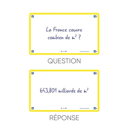 media/pim/flashcard-75x125-sf80-uni-jaun-3020120152806_6.jpg
