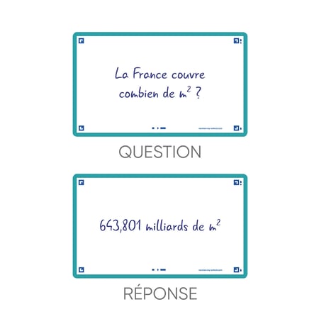media/pim/flashcard-75x125-sf80-uni-ment-3020120152868_6.jpg