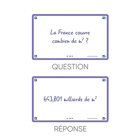 media/pim/flashcard-75x125-sf80-uni-viol-3020120152622_6.jpg