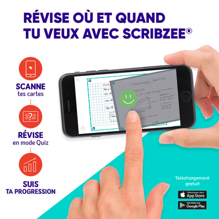 media/pim/flashcard-75x125-sf80-uni-viol-3020120152622_7.png