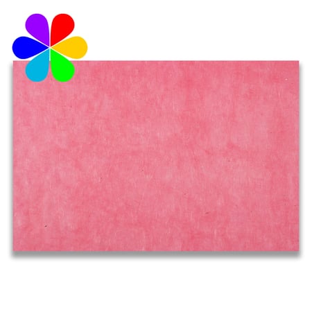 media/pim/fle-lokta-camelia-50x70-3700010570209_0.jpg