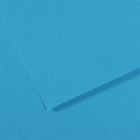 media/pim/fle-mi-teinte-50x65-160g-bleu-fle-mi-teinte-50x65-160g-bleu-3148953212440_0.jpg