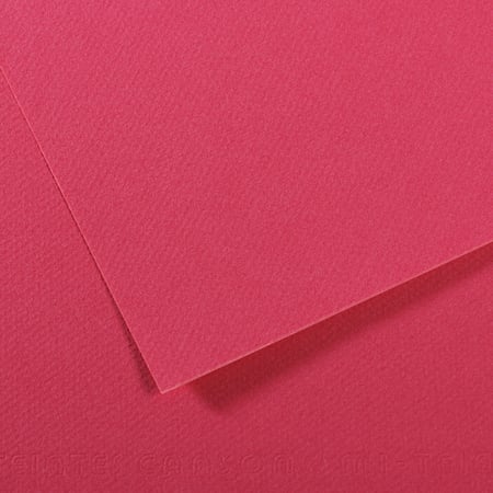 media/pim/fle-mi-teinte-50x65-160g-framb-fle-mi-teinte-50x65-160g-framboise-3148953217346_0.jpg