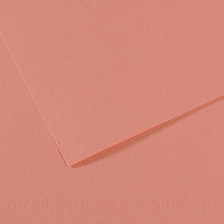 media/pim/fle-mi-teinte-50x65-160g-rose-fle-mi-teinte-50x65-160g-rose-3148953210842_0.jpg