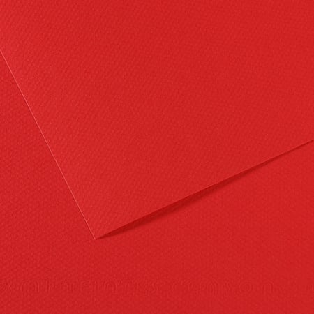 media/pim/fle-mi-teinte-50x65-160g-rouge-fle-mi-teinte-50x65-160g-rouge-3148953212044_0.jpg