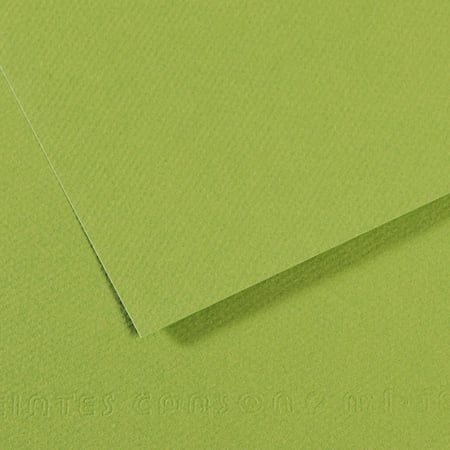 media/pim/fle-mi-teinte-50x65-160g-vert-fle-mi-teinte-50x65-160g-vert-pomme-3148953211542_0.jpg