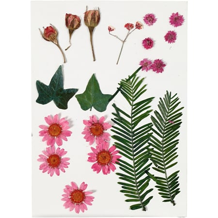 media/pim/fleurs-pressees-rouge-clair-19-assorties-5712854342667_1.jpg
