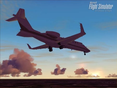 media/pim/flight-simulator-2004-un-siecle-d-aviation-0805529340299_2.jpg