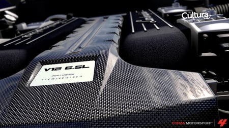 media/pim/forza-motorsport-4-0885370309959_6.jpg