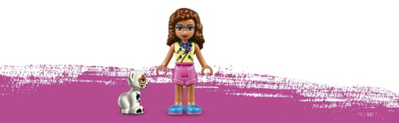 media/pim/friends-vehicule-de-mission-d-olivia-5702016111309_24.jpg