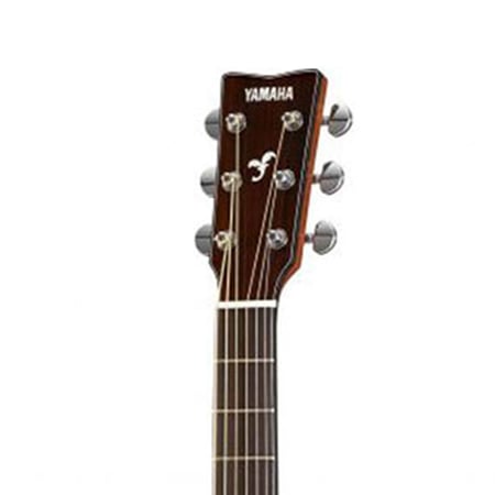 media/pim/fs850nt-folk-dread-t-massive-naturelle-4957812597814_1.jpg