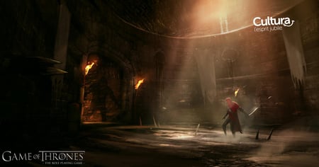 media/pim/game-of-thrones-le-trone-de-fer-3512899108844_3.jpg