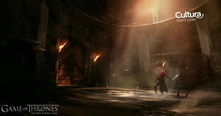 media/pim/game-of-thrones-le-trone-de-fer-3512899108851_3.jpg