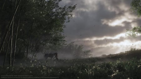 media/pim/ghost-of-tsushima-0711719363903_8.jpg